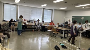 IMG_8194.jpeg